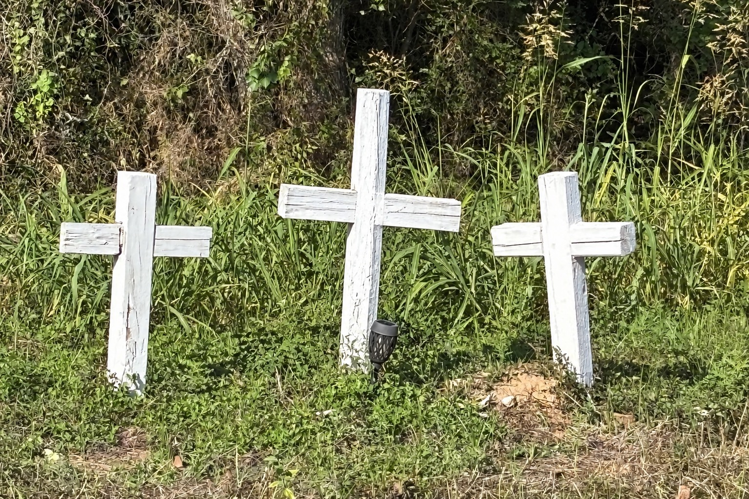 Three white roadside memorial crosses surrounded by greenery